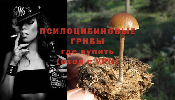 тгк Алексин
