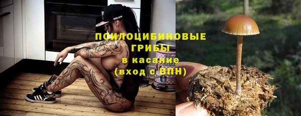 тгк Алексин